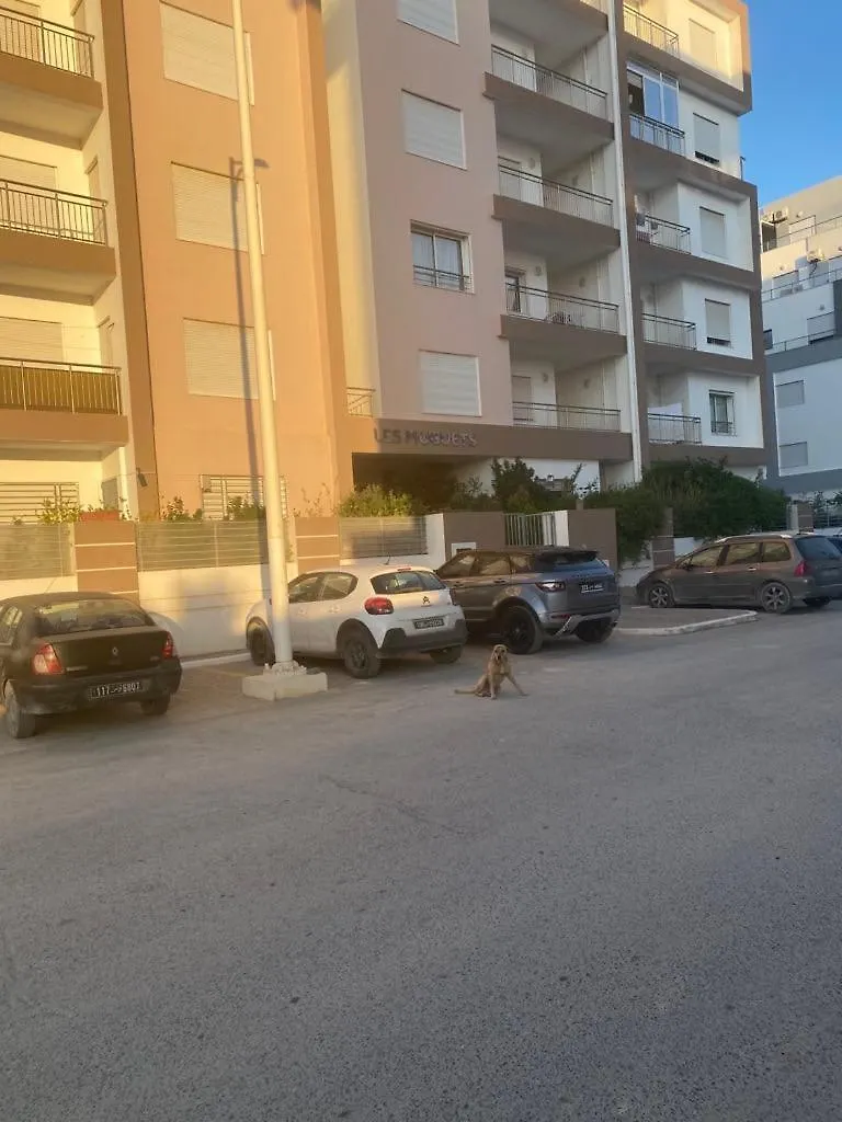 Apartamento Les Muguets Appart Tunes